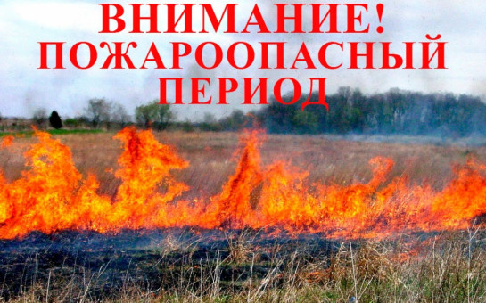 Об установлении начала пожароопасного сезона на территории Новосибирской области в 2025 году